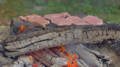 Roasting meat on a stone of fire Stock Footage 113275242