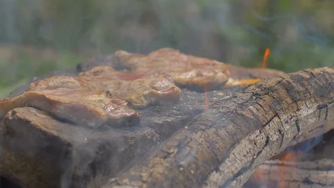 Roasting meat on a stone of fire Stock Footage 113275287