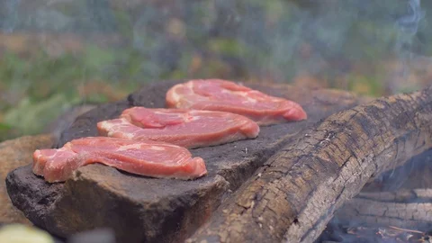 Roasting meat on a stone of fire Stock Footage 113275438