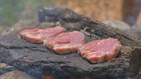 Roasting meat on a stone of fire Stock Footage 113276095