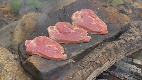 Roasting meat on a stone of fire Stock Footage 113276187