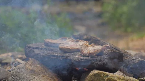 Roasting meat on a stone of fire Stock Footage 113276642