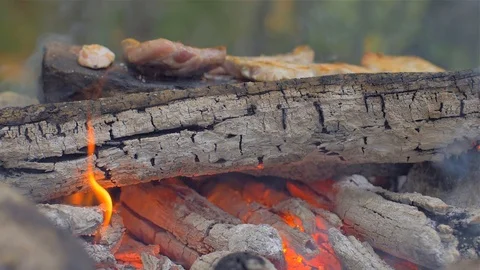 Roasting meat on a stone of fire Stock Footage 113276878