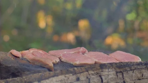 Roasting meat on a stone of fire Stock Footage 113277066