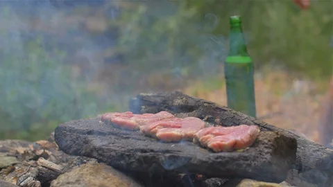 Roasting meat on a stone of fire Stock Footage 113277519