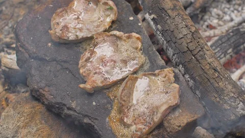 Roasting meat on a stone of fire Stock Footage 113277697