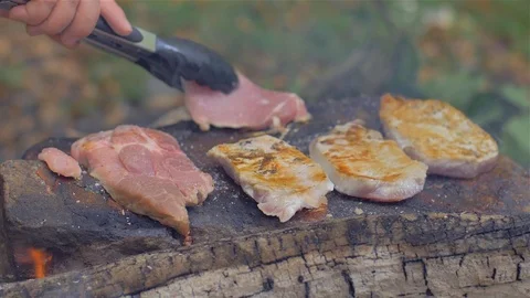 Roasting meat on a stone of fire Stock Footage 113277727