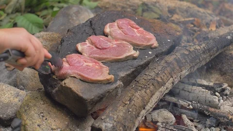 Roasting meat on a stone of fire Stock Footage 113277822