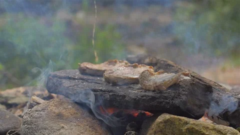 Roasting meat on a stone of fire Stock Footage 113277940