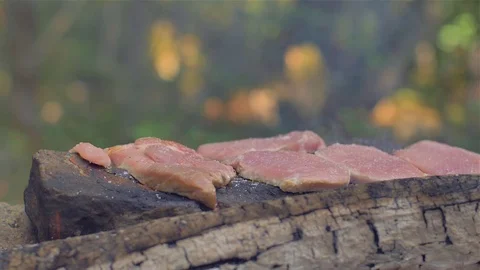 Roasting meat on a stone of fire Stock Footage 113278244