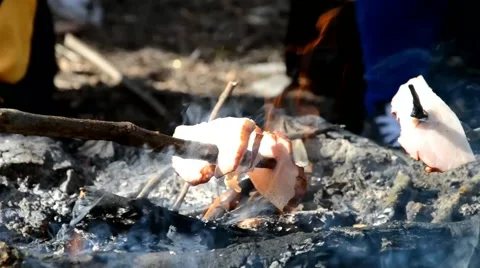 Roasting in nature Stock Footage 46786567