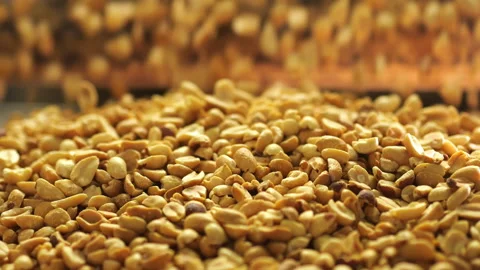 Roasting peanuts at factory. Close up. Stock Footage 277010764