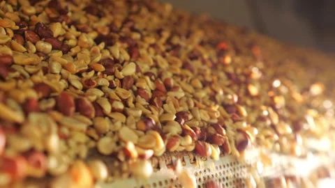 Roasting peanuts at factory. Stock Footage 277010940