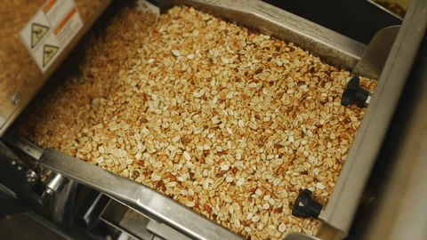 Roasting peanuts at factory. Stock Footage 295011322