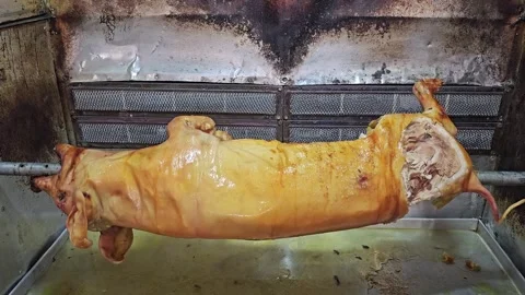 Roasting a piglet Stock Footage 249875015