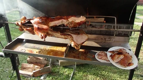 Roasting piglet on the split firewood Stock Footage 95011764