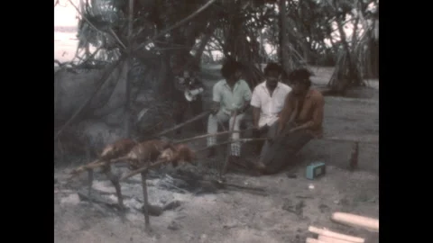 Roasting Pigs on a Spit 1971 Stock Footage 265535593