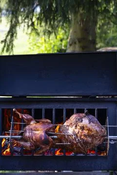 Roasting pork and turkey on spit Foto stock