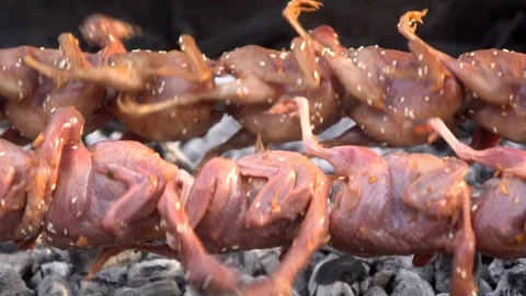 Roasting quails on wheel, close up. Video stock 100568369