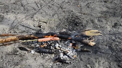 Roasting sausage over campfire with shifting embers outdoors Stock Footage 323132829