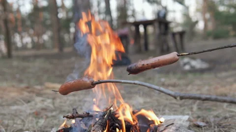 Roasting sausages on campfire in the forest Stock Footage 105443088