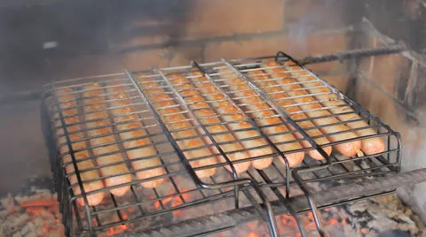 Roasting sausages on hot coals Video stock 24241348