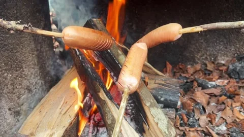 Roasting Sausages Over a Campfire in the Forest Stock Footage 296501401