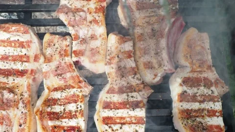 Roasting steaks on the bone on a grill on coals. the food at the picnic Stock Footage 144045348