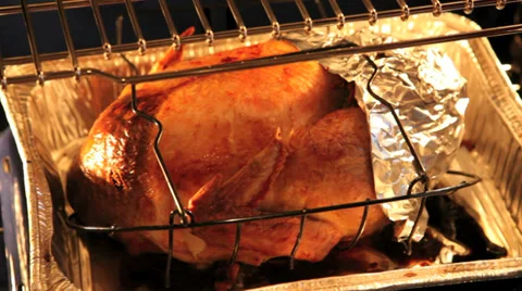 Roasting a turkey Stock Footage 32046713