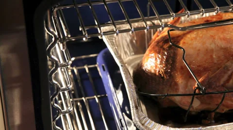 Roasting a turkey Stock Footage 32046953