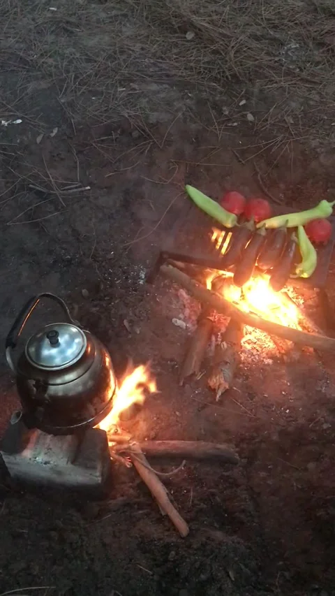 Roasting Vegetables and Brewing Tea Over a Campfire Outdoors Stock Footage 342182208