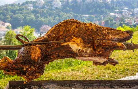 Roasting wild boar Stock Photos