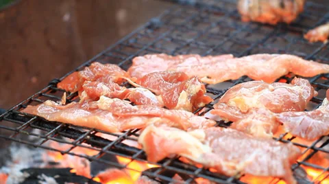 Roastmeat Stock Footage 30466985