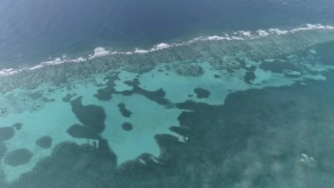 Roatan Stock Footage 141592583