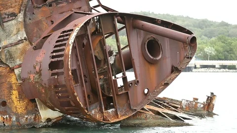Roatan Shipwreck Alexander Video stock 91605156