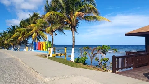 Roatan sign between the palm trees Video stock 263160171
