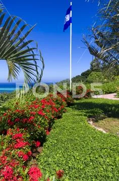 Roatan Vista Stock Photos