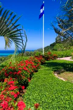Roatan Vista Stock Photos