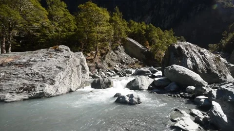 Rob Roy Stream in Mount Aspiring National Park, New Zealand. Stock Footage 200857829