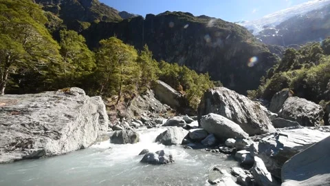 Rob Roy Stream, Mount Aspiring National Park, South Island, New Zealand. Stock Footage 205344028