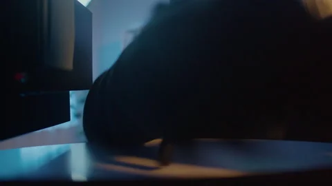 A Robber in a Black Mask Opens the Safe and Steals Money and Jewelry. Close-Up Stock Footage 239598094