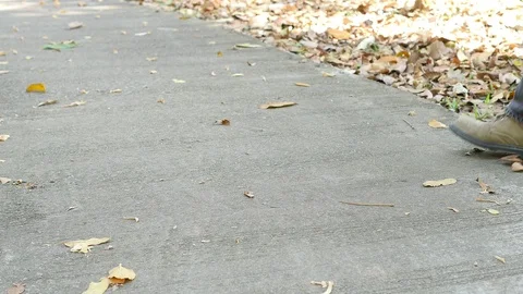 Robber steal falling wallet from walking man Video stock 101001669