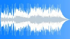 Robbery (30 sec version) Stock Music