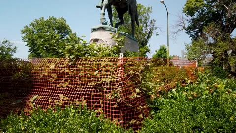 Robert E Lee Statue in Market Square Park in Charlottesville, Virginia Stock Footage 134432390