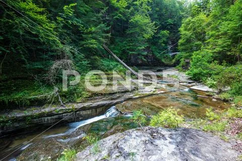 Robert H. Treman State Park: Gorge Trail Stock Photos