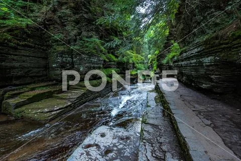 Robert H. Treman State Park: Gorge Trail Stock Photos