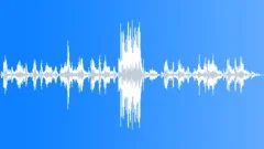 Robert Schumann The poet speaksStock Music