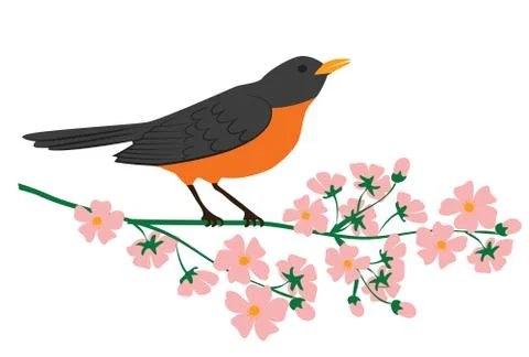 Robin bird Stock-Illustration