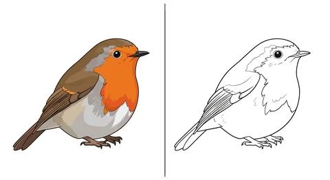 Robin Bird Illustration: Colored vs Outline Drawing Stock-Illustration