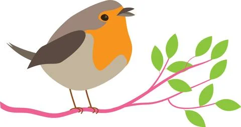 Robin bird profile side vector isolated white background Stock Illustration